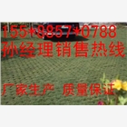 天津植草格廠家